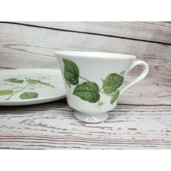 Vintage Hocquart Del Et Sculp Pl 95 Clematite Brulante Tea Cup And Plate Set - Picture 9 of 12